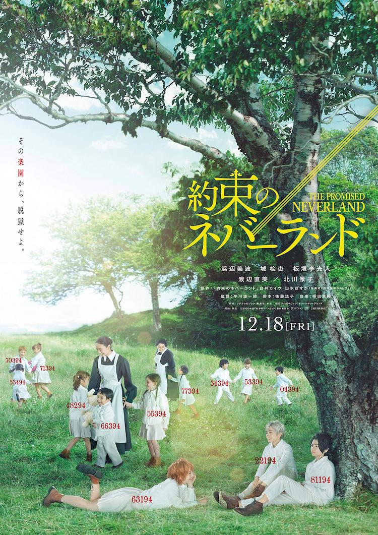 嘟嘟嘟影院高清